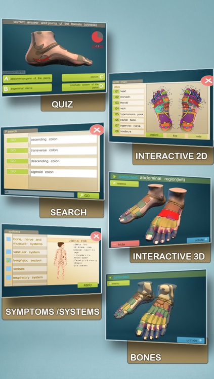 Total Reflexology-3D