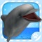 Virtual Pet Dolphin