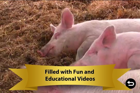 Farm Animals Digital Activity Pack: Games, Videos, Books, Photos & Interactive Play & Learn Activities for Kids from Mr. Nussbaum screenshot 3