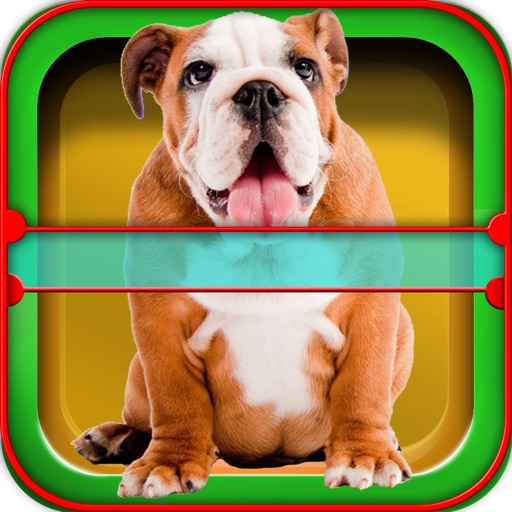 Dog Horoscope Booth: Fun games with your Pet