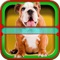 Dog Horoscope Booth: Fun games with your Pet