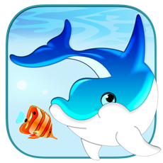 Activities of Dolphin Runner