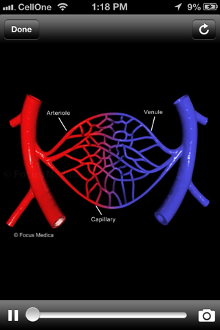 Atlas of Hypertension screenshot 3