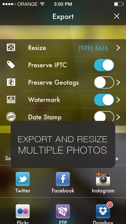 Photogene ⁴ screenshot-4
