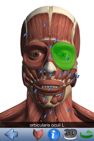 Visual Muscles 3D screenshot 2