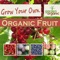 "Grow Your Own Organic Fruit" from Garden Organic is a handy, quick-reference tool, providing tips and advice for all those who want to start growing organic fruit