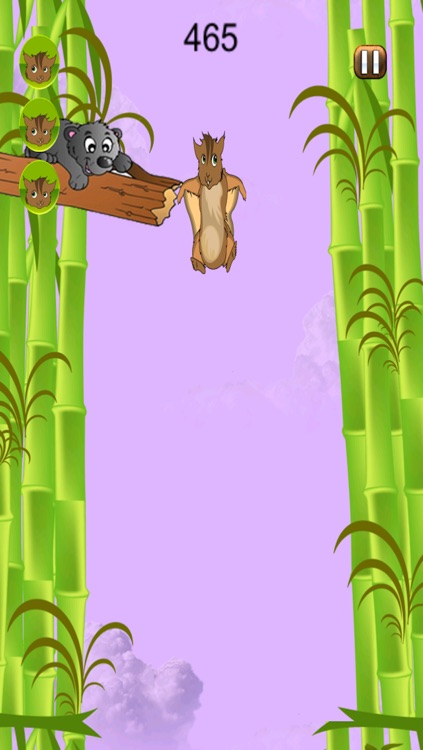 Happy Forest Free Fall FREE -  A Nuts Squirrel Dropping Simulator