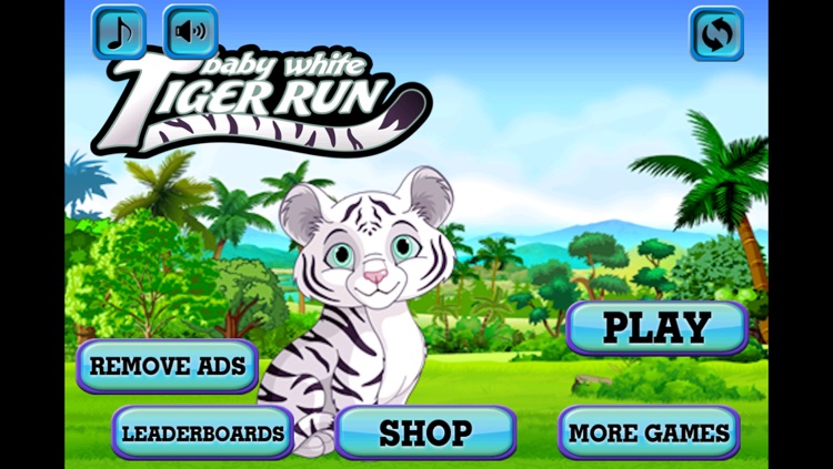 Baby White Tiger Run : Dash Race with Mittens the Super Sonic Cub