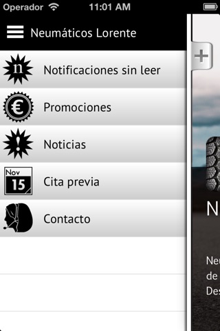 Neumáticos Lorente screenshot 2