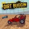 Dirt Buggin Pro