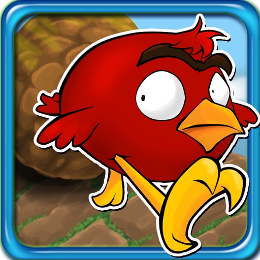 Happy Birds On The Run - Cool Fun Adventure Arcade Game - FREE FOREVER