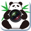 Panda Camera