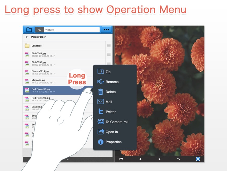 BoxCrane for iPad - FileCrane for Dropbox