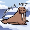 Walrus Pet