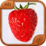 Get Inspiring Photos Jigsaw Puzzles - Strawberry Cake and other Delicious and Beautiful things to put together for iOS, iPhone, iPad Aso Report