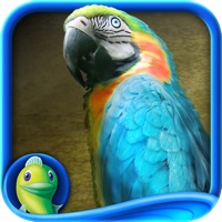 Amazon: Hidden Expedition