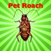 A Pet Roach Booth