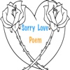 Sorry Love Poem