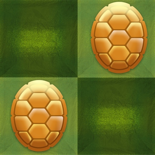 Running on The Turtle Shell iOS App