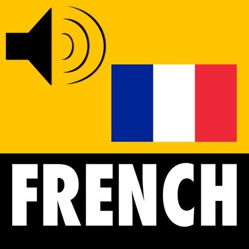 French Now -  Vocabulary Builder Program Plus English Dictionary icon