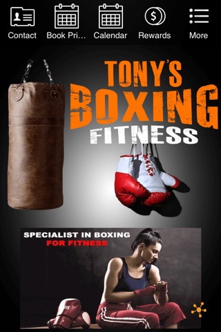 Tony's Boxing screenshot 2