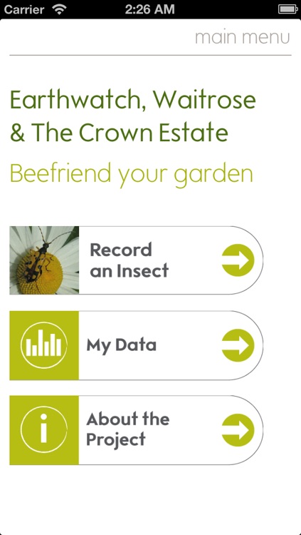 Bee-friend your garden