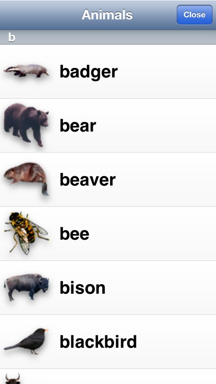 Animal Fun screenshot-3