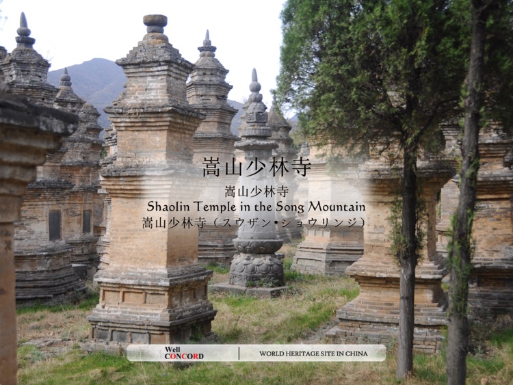 Song Mountain's Shaolin Temple