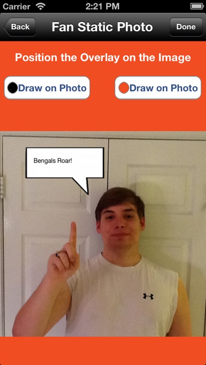 Bengals Fan Static