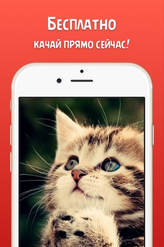 Картинки на айфон. Обои для iPhone скачать бесплатно screenshot 2