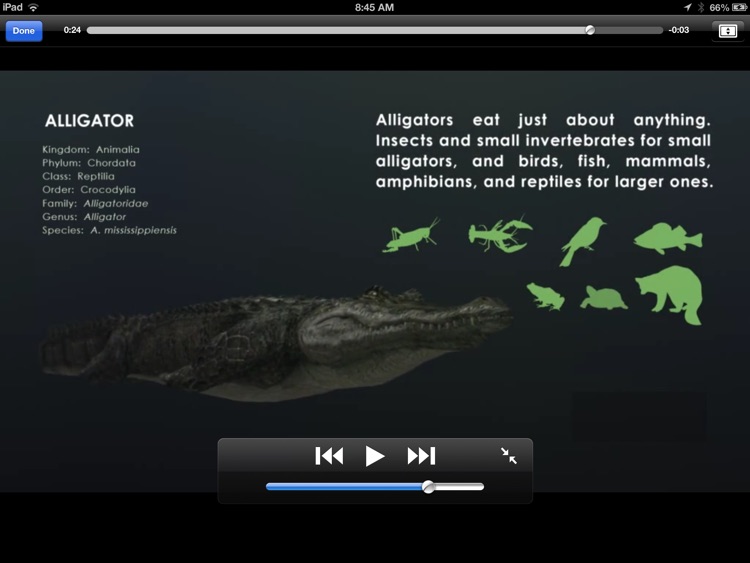 Alligators of Shark River screenshot-3