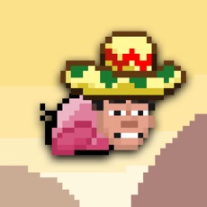 Activities of Flappy Felipe