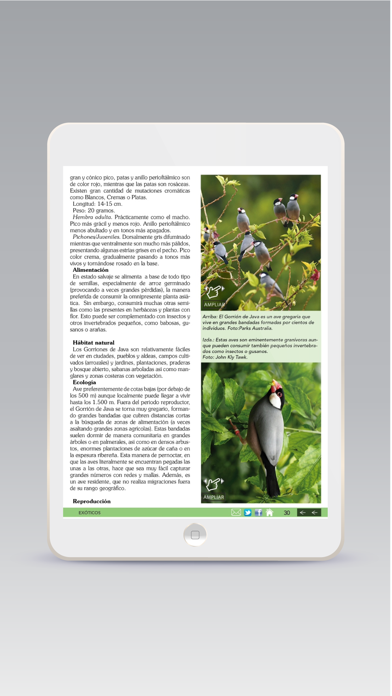 How to cancel & delete Ornitología Práctica from iphone & ipad 3