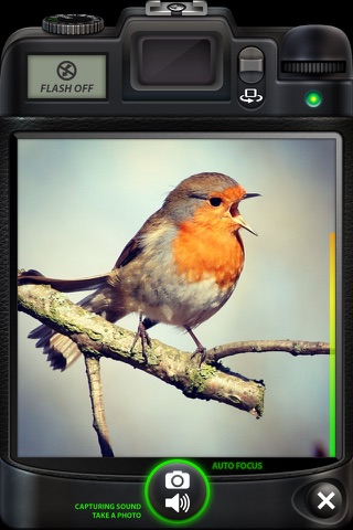 Camera SX : Photo with Sound screenshot 4