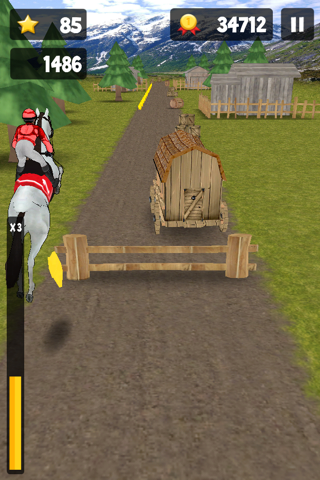 Crazy Horseback Riding Free screenshot 3