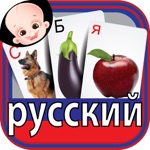 Colorful Russian ABC Alphabets Nursery Flash Cards