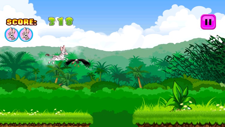 Baby Zebra Dash : Running With Little Zoo Buddies screenshot-3