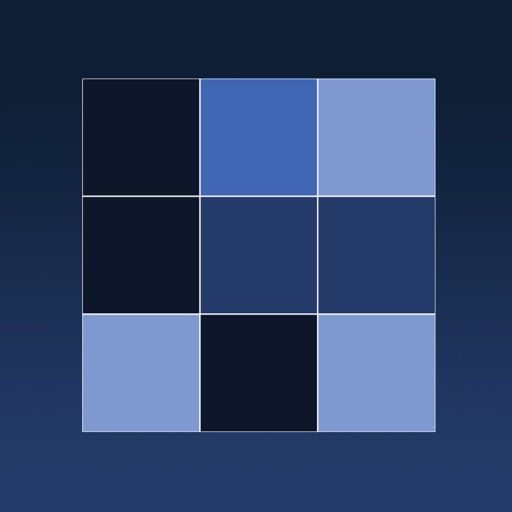 Pool Puzzle Icon