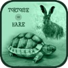 Tortoise or Hare