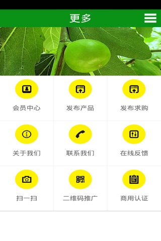 无花果网 screenshot 4