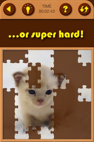 Cat Kitten Jigsaw Puzzle Games screenshot 4