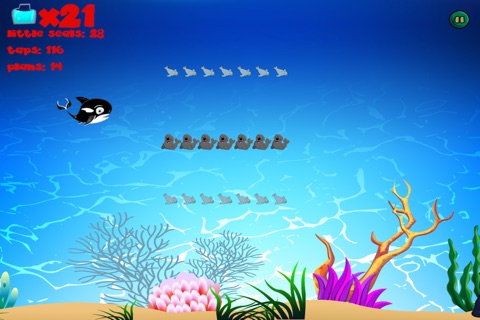 Orca Trail's Play Whale FREE - Sea Ocean Reef Swimmer Game For Toddlers & Kids screenshot 3