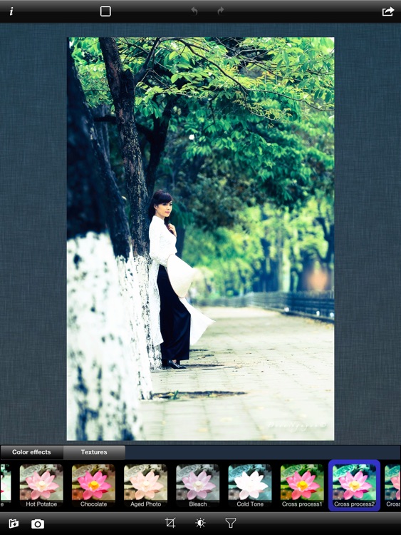 Foto Blender II