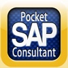 Pocket SAP Consultant