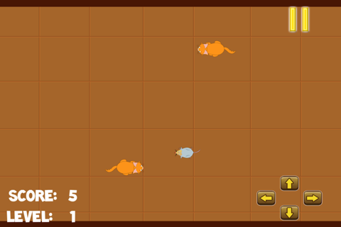Speedy Rat Race Frenzy - Hungry Rodent Rescue Mania screenshot 3