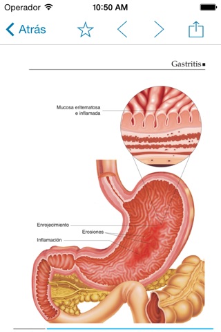Miniatlas Gastroenterology screenshot 3