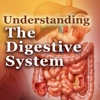 Understanding the Digestive System