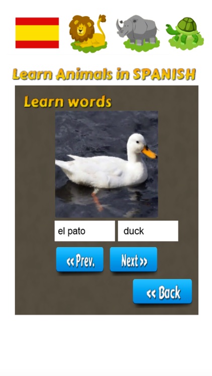 Learn Animals in Spanish Language screenshot-3