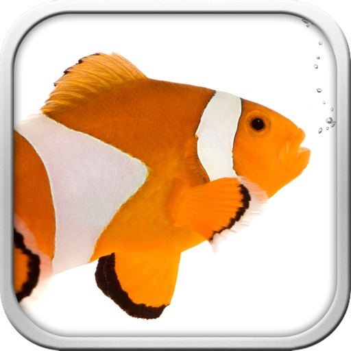 Fish the Fishes iOS App