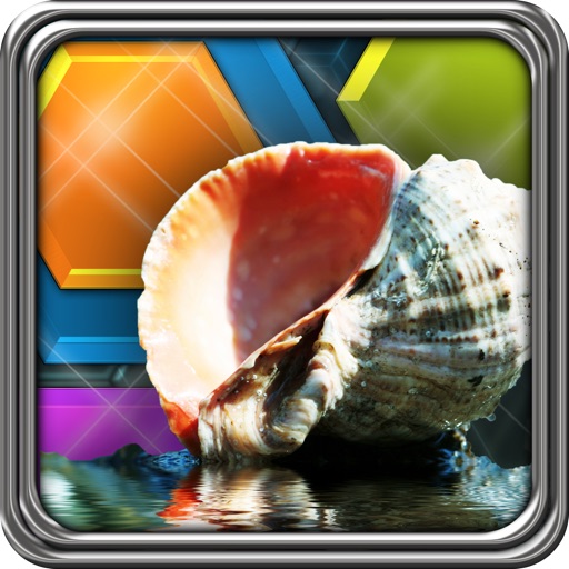 HexLogic - Seashells iOS App